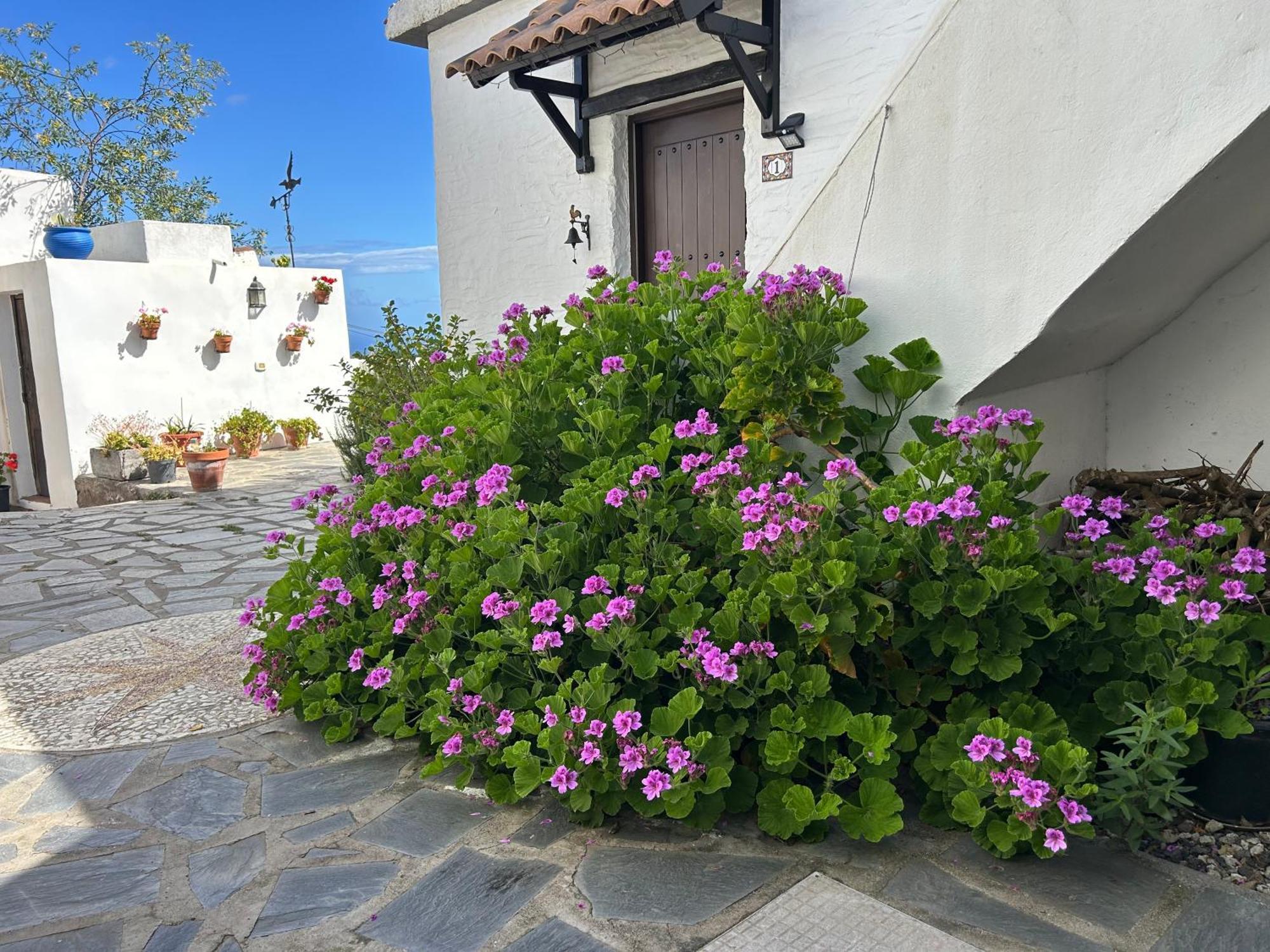 Casa Lucia * Genovés